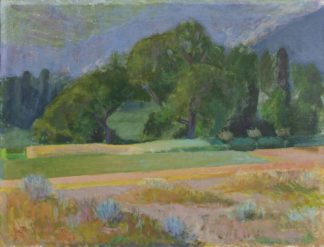 Chavaz Albert - Ormône, Savièse