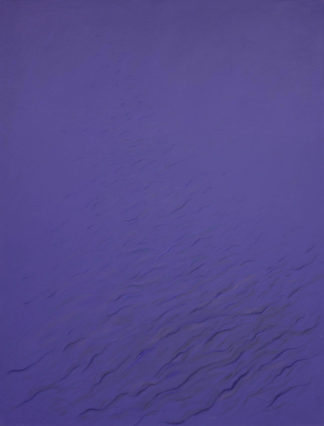 Hofkunst Alfred - Vue sur le Lac de Neuchâtel